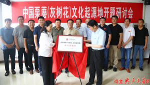中國灰樹花文化起源地研究課題在河北省遷西縣啟動