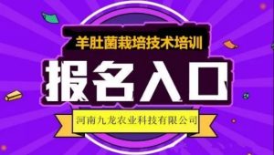 河南九龙农业科技有限公司2021年羊肚菌林下栽培技术第三期培训班火热开班