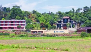 【鄉村振興】福建省福州市首個鄉村振興聯合黨支部成立