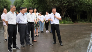 中国工程院院士前往四川省长宁县为食用菌产业发展把脉支招