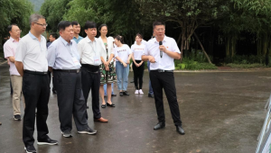 中國工程院院士前往四川省長寧縣為食用菌產業發展把脈支招