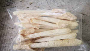 湖南省雙牌縣：林下竹蓀試種成功 “菌中皇后”綻放毛竹之鄉