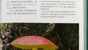 《中國西南地區常見食用菌和毒菌》由科學出版社出版