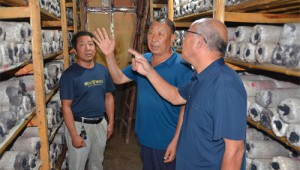 湖北省隨縣菌種生產經營廠家開始辦理生產經營許可證