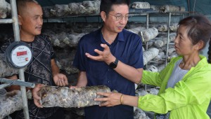 湖北省隨州市食用菌協(xié)會(huì)組織菇農(nóng)學(xué)黨史辦實(shí)事 破解食用菌產(chǎn)業(yè)發(fā)展難題