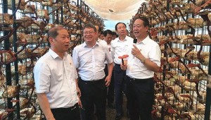河南農業大學校長介曉磊率團隊前往世紀香食用菌公司調研并開