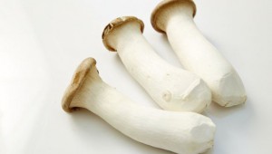 北京歐倍爾軟件技術(shù)開發(fā)有限公司為工廠化生產(chǎn)杏鮑菇提供3D仿真學(xué)習(xí)平臺(tái)