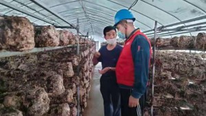 新疆和田市食用菌种植基地：“电保姆”为食用菌产业撑起“保护伞”