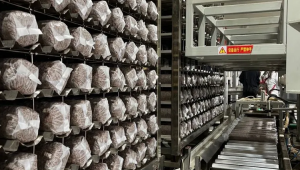 山东平度市蓼兰镇智慧化食用菌产业园已实现香菇自动化生产 提升效率