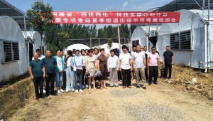 河南省“四優四化”科技支撐行動計劃助推泌陽縣香菇產業高質量發展
