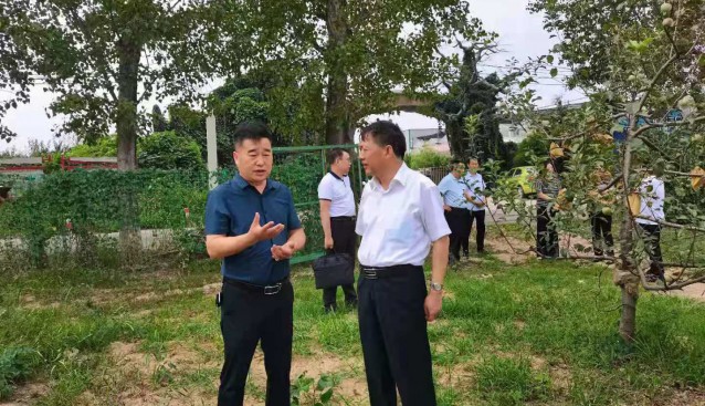 河南省三门峡市领导前往九龙山公司解决企业困难