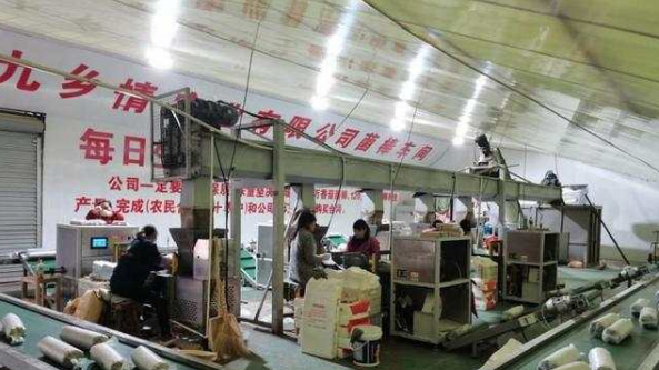 河南省鲁山县：多措并举为受灾食用菌种植户撑起“保护伞”
