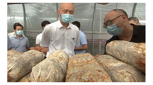 蔡奇赴北京市通州区于家务乡富各庄食用菌示范棚调研