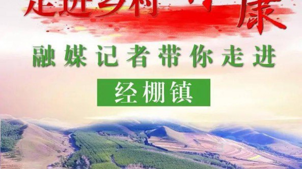 內蒙古經棚鎮合意村：探索林下經濟發展模式 大球蓋菇撐起村民“致富傘”
