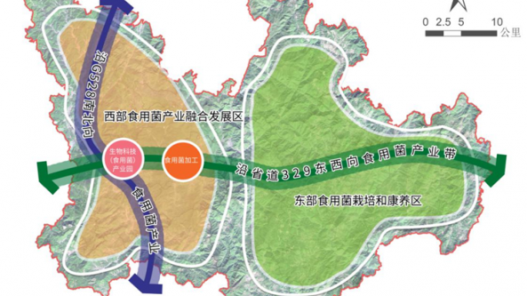 浙江省庆元县成为2021年省级食用菌“两业融合”发展试点区域