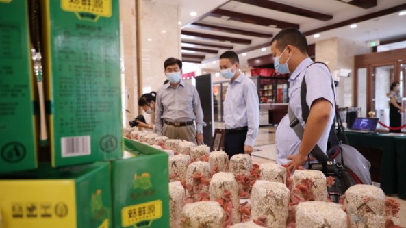 “粉色木耳”首次種植成功 山東省惠民縣食用菌再添“新成員”