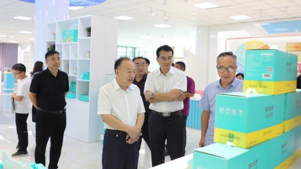 河北省鹽山縣政協(xié)視察食用菌種植項目開展情況