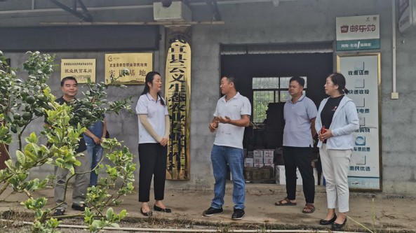 广西壮族自治区农业技术推广站前往来宾市开展食用菌生产调研任务