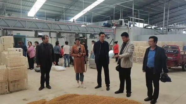 陕西省汉中市科技局副局长黄建华赴城固县调研羊肚菌产业