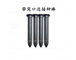 食用菌接种棒