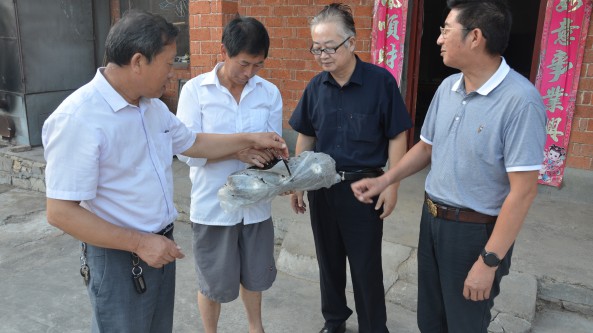 湖北省隨州市食用菌專家進家入棚“開藥方”