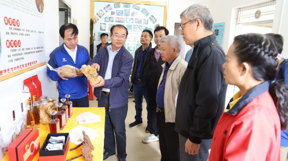 广西桂北食用菌产区发展调研座谈会在广西特色作物研究院顺利召开