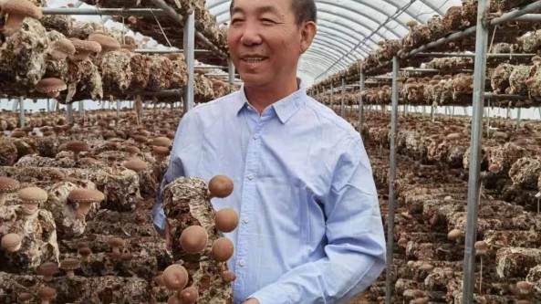 全國脫貧攻堅先進個人侯桂森：把科研論文寫在太行大地上 將科研成果送到田間地頭