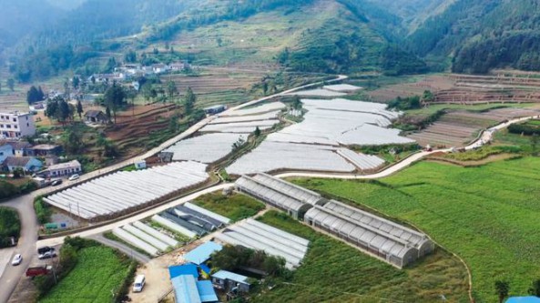又一农业种植项目将在贵州省盘州市普田乡建成