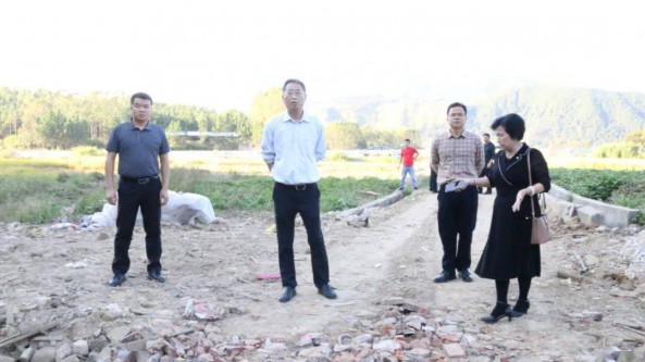 广东省新丰县领导调研全国劳模灵芝种植基地