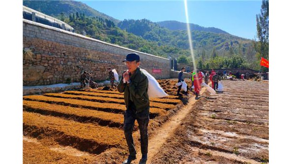 山东：泰山景区巴山管理区开展大球盖菇种植活动