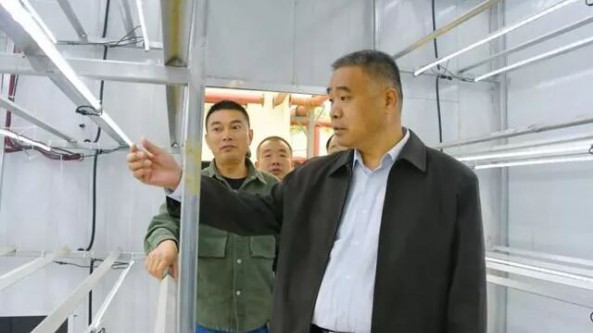 安徽临泉县：年产5000吨珍稀食用菌智慧方舱农业项目火热建设中