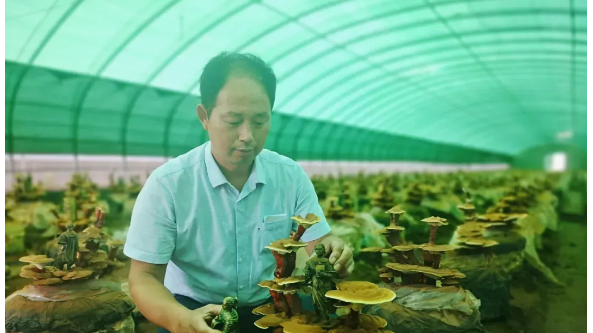 專心實干創事業 心懷家鄉為百姓 ——記河南金隆菇業有限公司董事長利金站