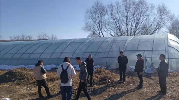 黑龍江省大興安嶺翠崗鎮邀請省食用菌專家為養殖戶“傳經送寶”