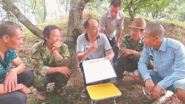 福建省順昌縣大歷鎮教授級高農經師高允旺：用技術讓菇農的錢袋子鼓起來