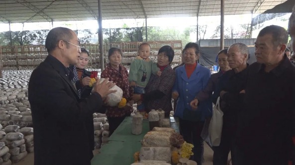 湖南省安仁縣殘聯積極開展殘疾人食用菌實用技術培訓