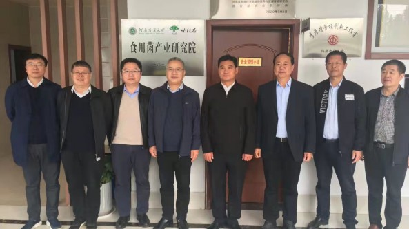 河南：食用菌产业研究院11月4日正式在许昌世纪香食用菌产业园挂牌成立