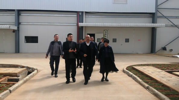 做大做強食用菌特色優勢產業 助力廣東省韶關市鄉村振興戰略落地落實
