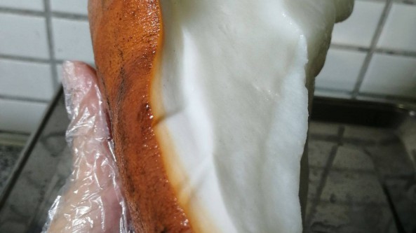 中國工程院院士、廣東省科學(xué)院微生物研究所名譽所長吳清平團隊完成白肉靈芝基因組測序