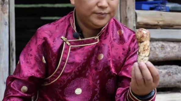 云南省迪慶州見證香格里拉松茸成為群眾的“綠色銀行”