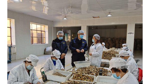 满洲里海关助力内蒙古首批野生食用菌产品打开欧洲市场