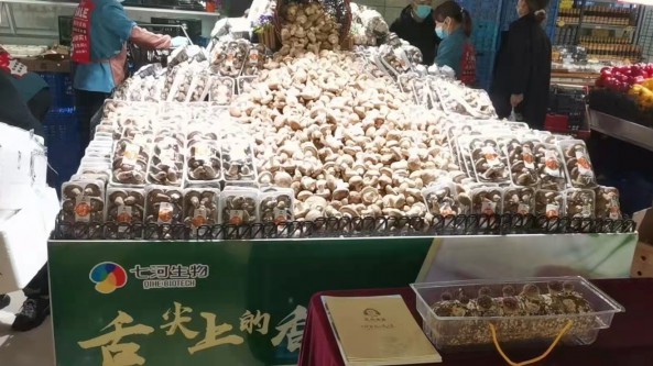 联华超市将携手山东七河生物共同推出优质新鲜香菇促销活动