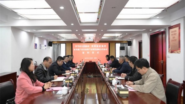 貴州省畢節市“牽手”貴鹽集團做大做強羊肚菌產業 助力鄉村振興