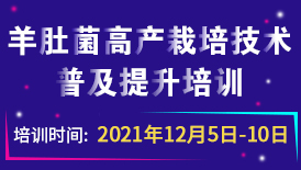 羊肚菌高产栽培技术普及提升培训