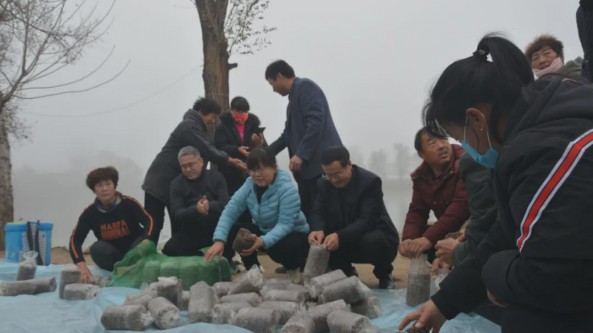 河北省东光县：羊肚菌试种喜获成功 加快小康致富步伐