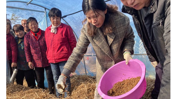 江蘇省鎮(zhèn)江市句容茅山玉晨村：食用菌產(chǎn)業(yè)為鄉(xiāng)村振興增活力