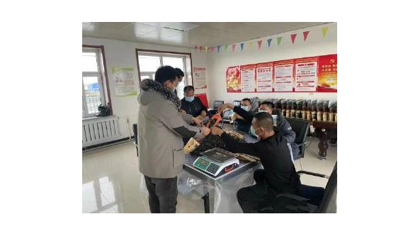 內蒙古呼倫貝爾市毛家鋪村積極探索食用菌銷售新模式 共享發展紅利