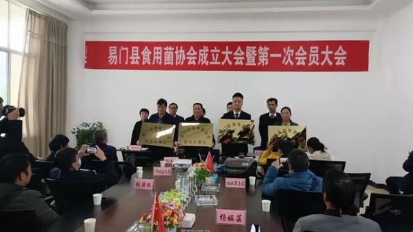 云南省易门县食用菌协会正式揭牌成立