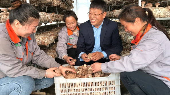 想实实在在做一些事 让小蘑菇带动更多农民富起来——记山西农业大学教授常明昌