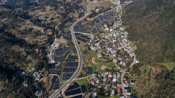 重慶市黔江區：高山種植羊肚菌 冬日田園入畫來