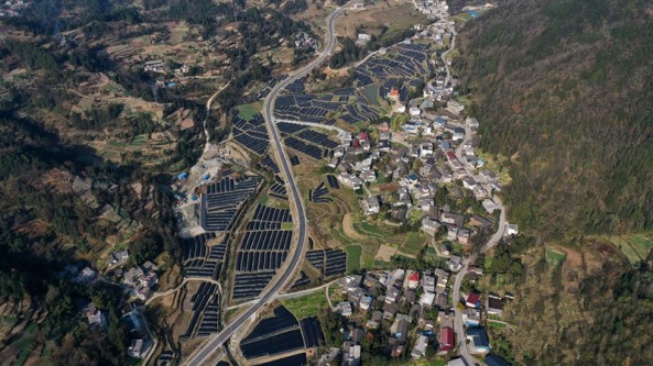 重庆市黔江区：高山种植羊肚菌 冬日田园入画来